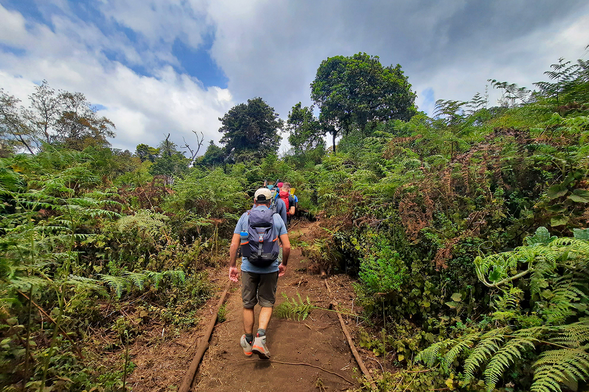 Kilimanjaro Climb via Marangu Route